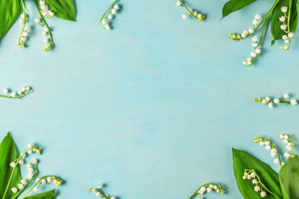 frame made of lily of the valley flowers on blue wooden table. flat lay. top view frame made of lily of the valley flowers on blue wooden table. flat lay. top view. wedding background lily of the valley stock pictures, royalty-free photos & images