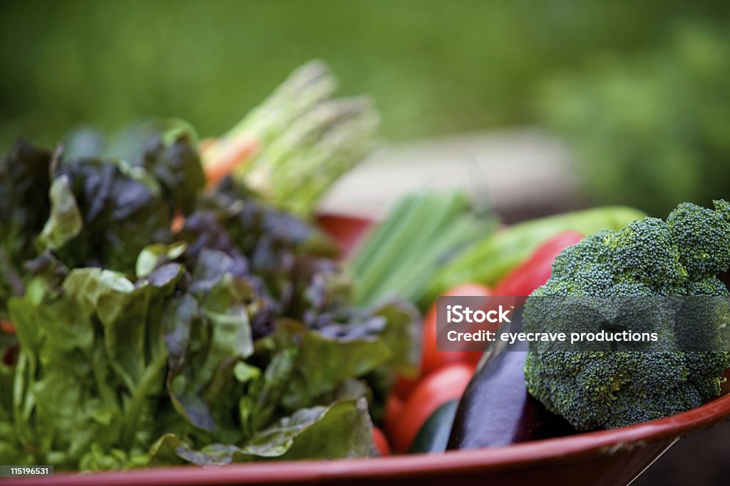 Estate verdura giardinaggio - Foto stock royalty-free di Agricoltura