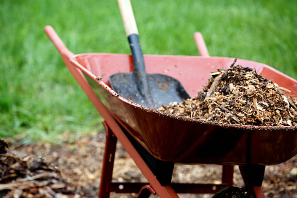 paesaggio mulch yard lavoro - carriola foto e immagini stock