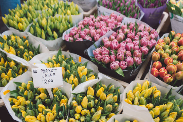 istock Various Flowers At Market Stall For Sale 1151966295
