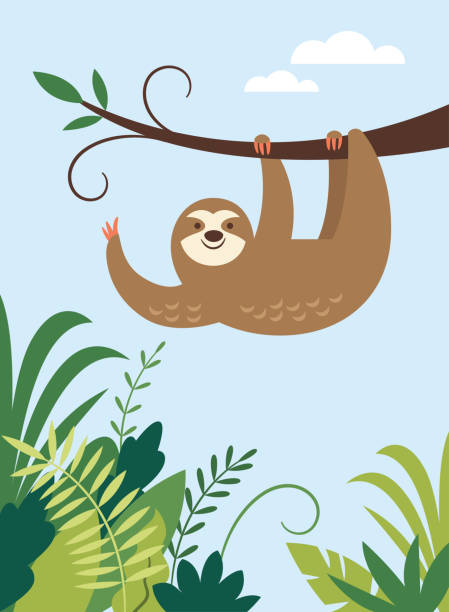 cute sloth, adorable  animal of rainforests vector art illustration