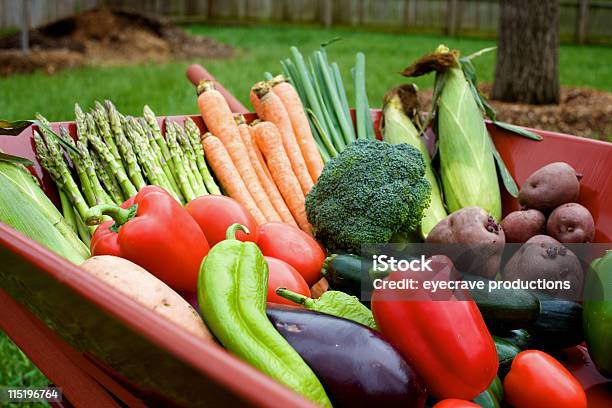 Foto de Legumes Do Verão De Jardinagem e mais fotos de stock de Abóbora - Abóbora, Agricultura, Alimentação Saudável