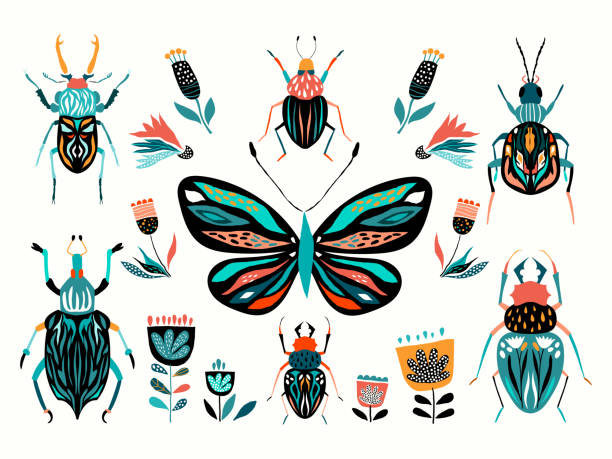 stockillustraties, clipart, cartoons en iconen met insecten collectie vector design - kever