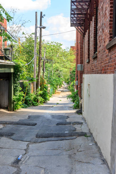 istock Typical Canadian alleyway 1151972193