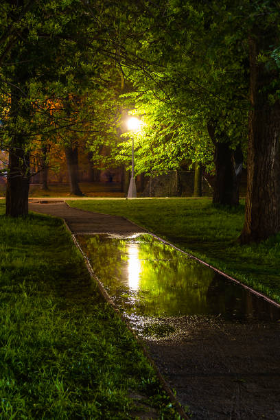 istock Empty alley and lantern. Street lamp reflected in a puddle 1151972732