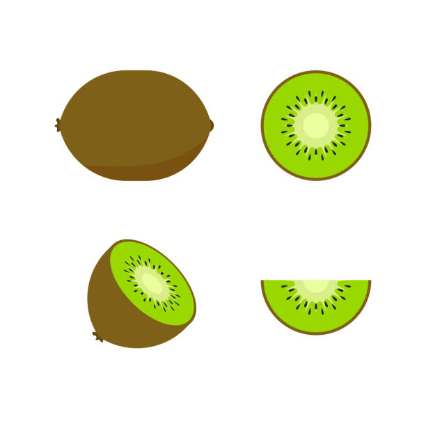 ilustrações, clipart, desenhos animados e ícones de jogo das frutas e das bagas. fruta do verão. maçã da fruta, pera, morango, laranja, pêssego, ameixa, banana, melancia, limão do quivi do abacaxi frutifica a coleção do vetor. ilustração do vetor. - kiwi