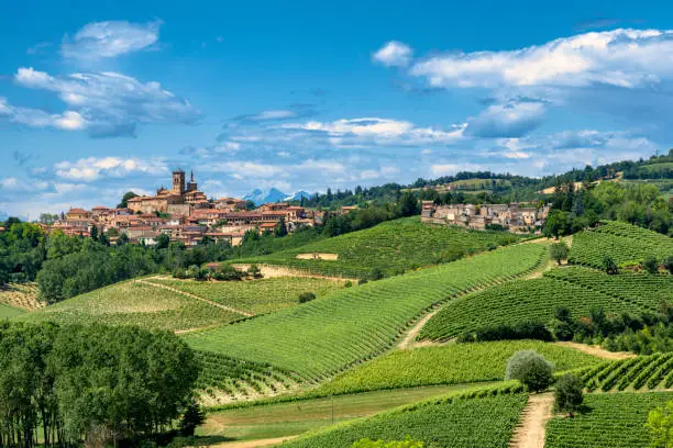Country landscape of Monferrato (Asti, Piedmont, Italy) at summer, with vineyards