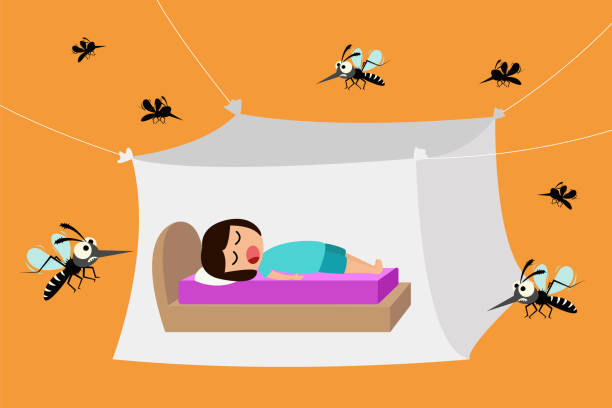 蚊帳の下で眠っている子供、デング熱から保護するための蚊帳、ベクターイラスト - mosquito mosquito netting protection insect点のイラスト素材／クリップアート素材／マンガ素材／アイコン素材
