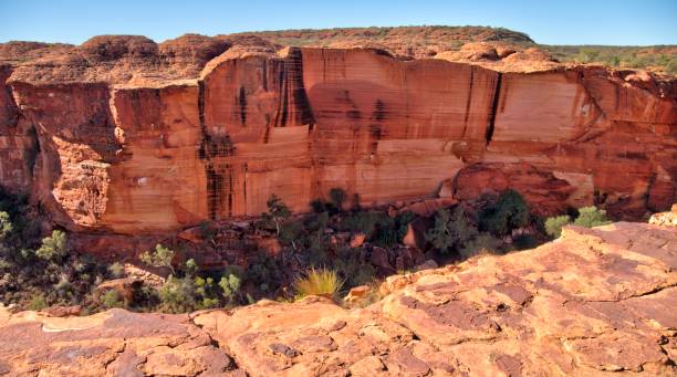 istock Kings Canyon, Australia 1151980393