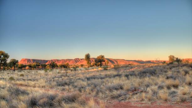 istock Kings Canyon, Australia 1151980514