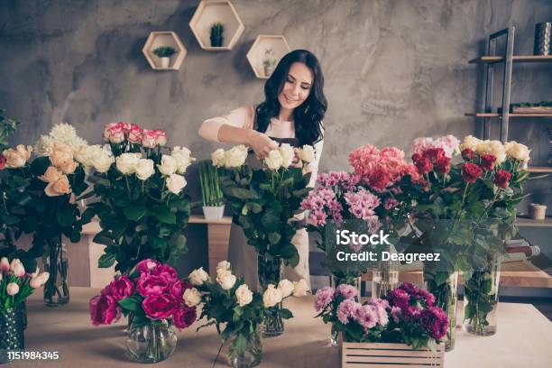 Portrait Of Her She Nice Attractive Lovely Charming Winsome Cheerful Wavyhaired Lady Garden Bunch Care Small Domestic House Salon Fashion Hobby Concrete Wall Hydrangeas Chrysanthemums Workplace Stock Photo - Download Image Now