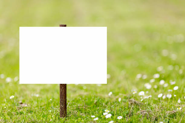 istock Empty sign plate in the green grass nature meadow. 1151993362