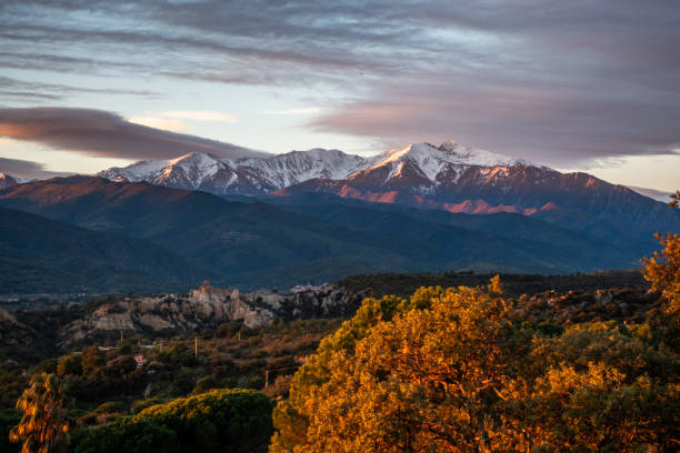 in autumn, Ille sur Tet, Pyrenees-Orientales, France