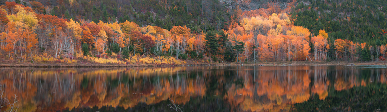 Coastal Maine and Fall Colors