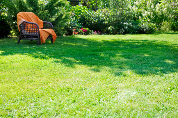 istock armchair in the garden 1151999090