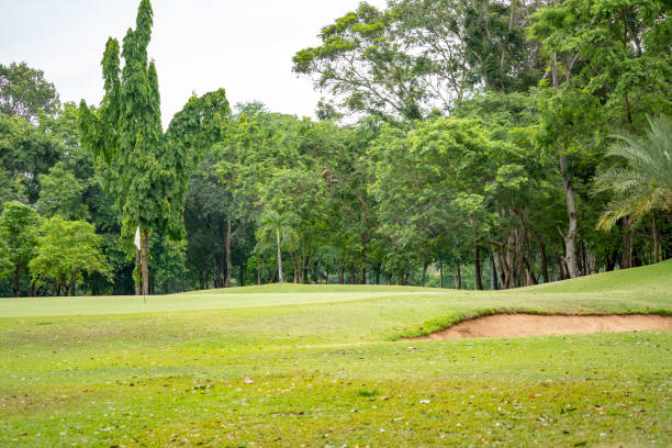istock Golf course on hills in nature 1152001743