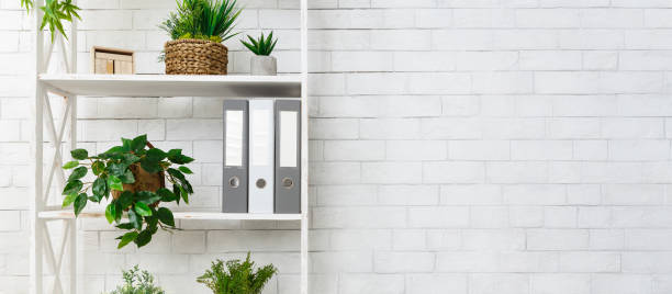 istock White bookshelf with plants and folders over wall 1152003713