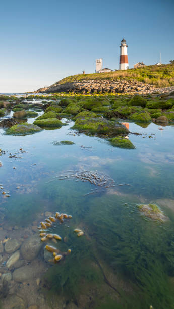istock Montauk Point Light, Lighthouse, Long Island, New York, Suffolk 1152005004