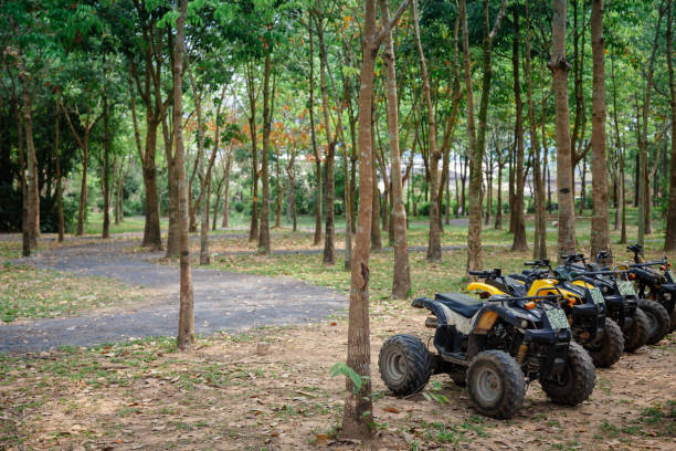 atv 4x4 extreme rider przygotować się do podróży przez dżunglę z off-road atv samochodu - off road vehicle quadbike quad racing motocross zdjęcia i obrazy z banku zdjęć