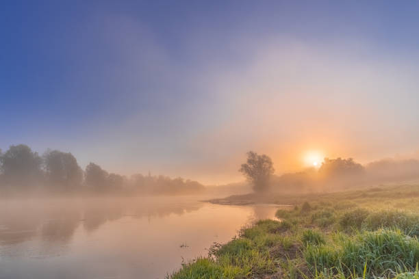 Colorful view of the river, shrouded in fog, crawling over the water. The orange sun is slowly rising from the forest. Dawn on a cool morning. Herbs A colorful view of the river, shrouded in fog creeping over the water. The orange sun slowly rises from the forest. Dawn on a cool morning. Grass with dew drops and fog over the water like haze. sunset dew stock pictures, royalty-free photos & images