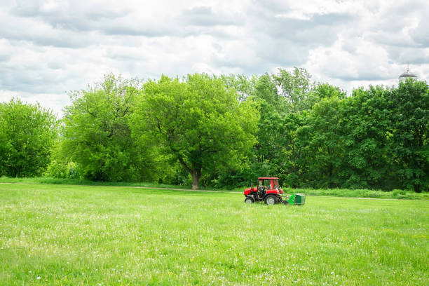 istock tractor lawn mower mows grass 1152008999