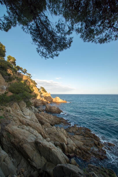 istock Cala de Sant Francesc in Blanes, Costa Brava 1152010014