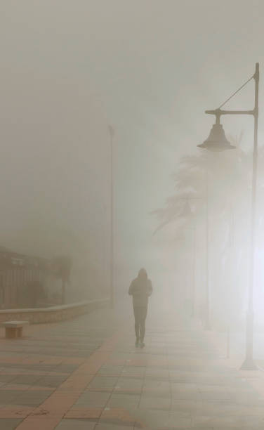 istock Runner in the Fog 1152010180