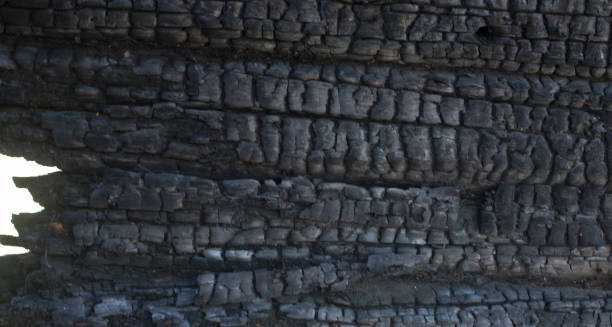 istock Natural fire ashes with dark grey black coals texture. It is a flammable black hard rock. copyspace 1152010581