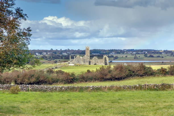 istock Ross Errilly Friary, Ireland 1152011926