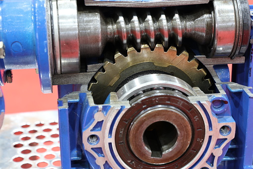 cross section of worm gear pump ; selective focus