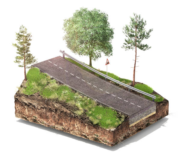 istock Stump with leaves isolated on a white. 3d illustration 1152012762