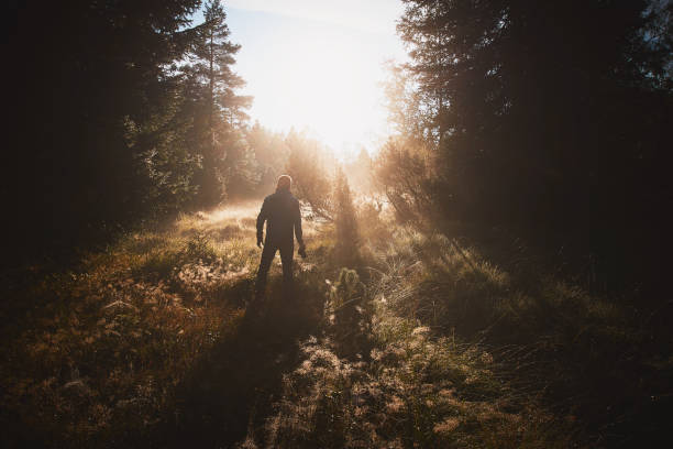 istock Hiker relaxes in forest opening at sunrise 1152013547