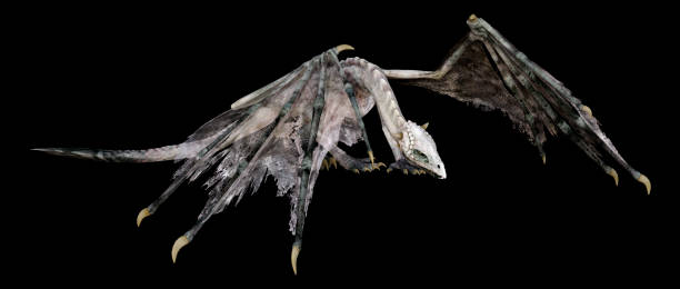 istock 3D illustration fantasy dragon on black 1152013627