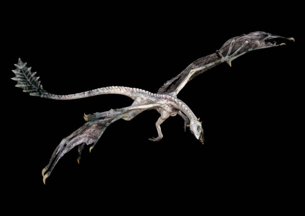 istock 3D illustration fantasy dragon on black 1152013639