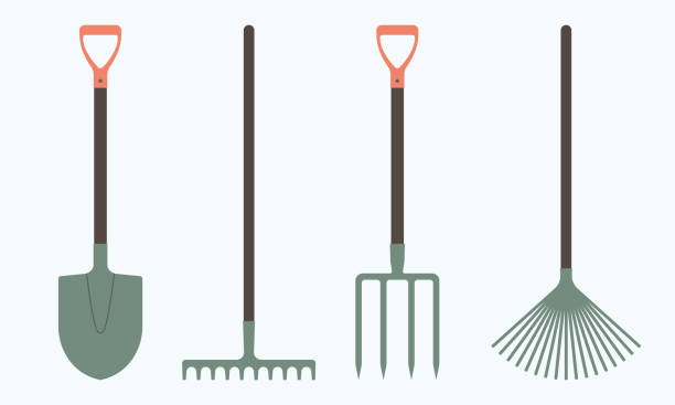 Shovel or spade, rake and pitchfork icons isolated on white background. Gardening tools design. Colorful vector illustration. Shovel or spade, rake and pitchfork icons isolated on white background. Gardening tools design. Colorful vector illustration. rake stock illustrations