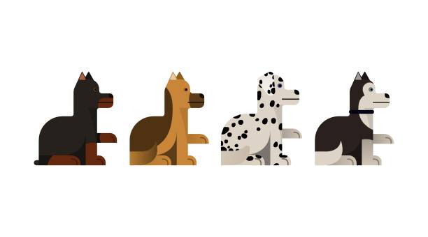 Dogs sits and gives a paw. Dogs sits and gives a paw. Doberman, shepherd, husky and dalmatian gives a paw. Vector illustration. Flat icons set. drawing of the doberman pinscher dogs stock illustrations