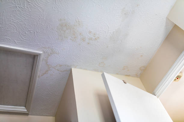 istock Stains on the ceiling after water leakage 1152018965