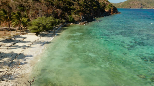 istock torpical island with white sandy beach, top view 1152019027