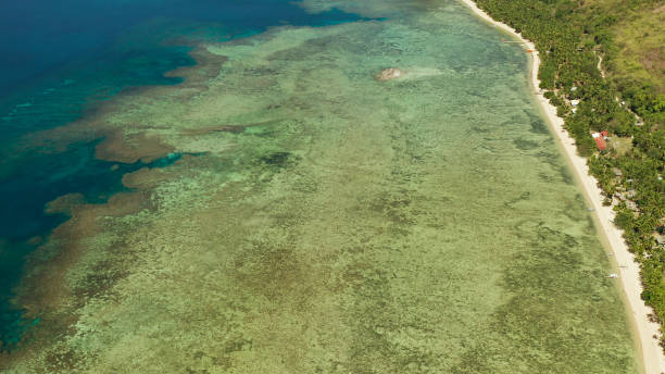 istock tropical island with blue lagoon 1152020360