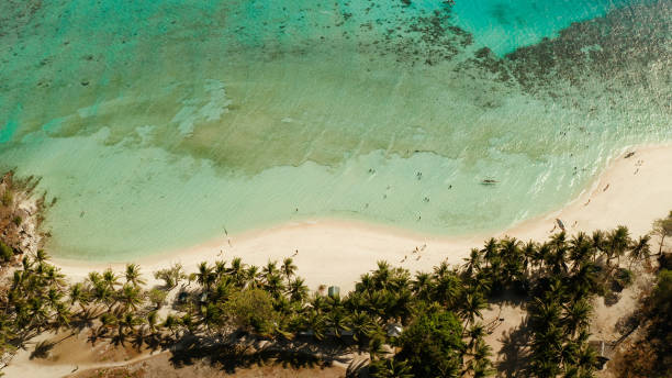 istock torpical island with white sandy beach, top view 1152020437