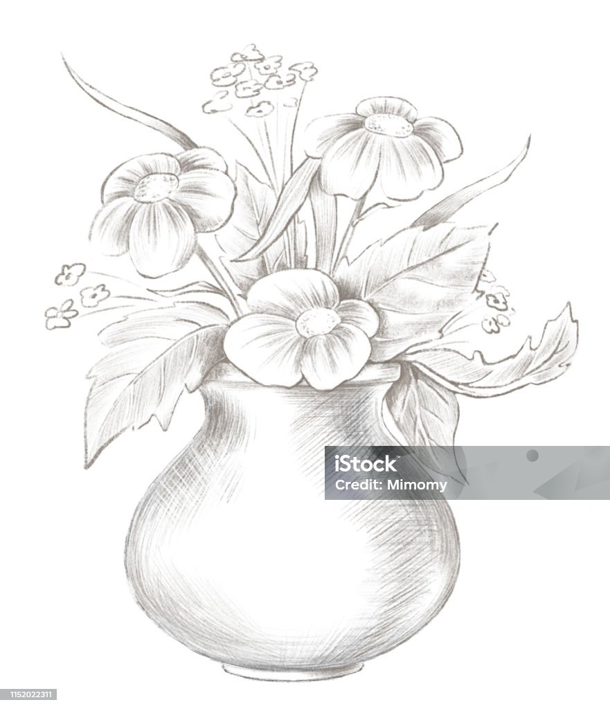Lead Pencil Sketch Of Vase With Flowers Stock Illustration ...