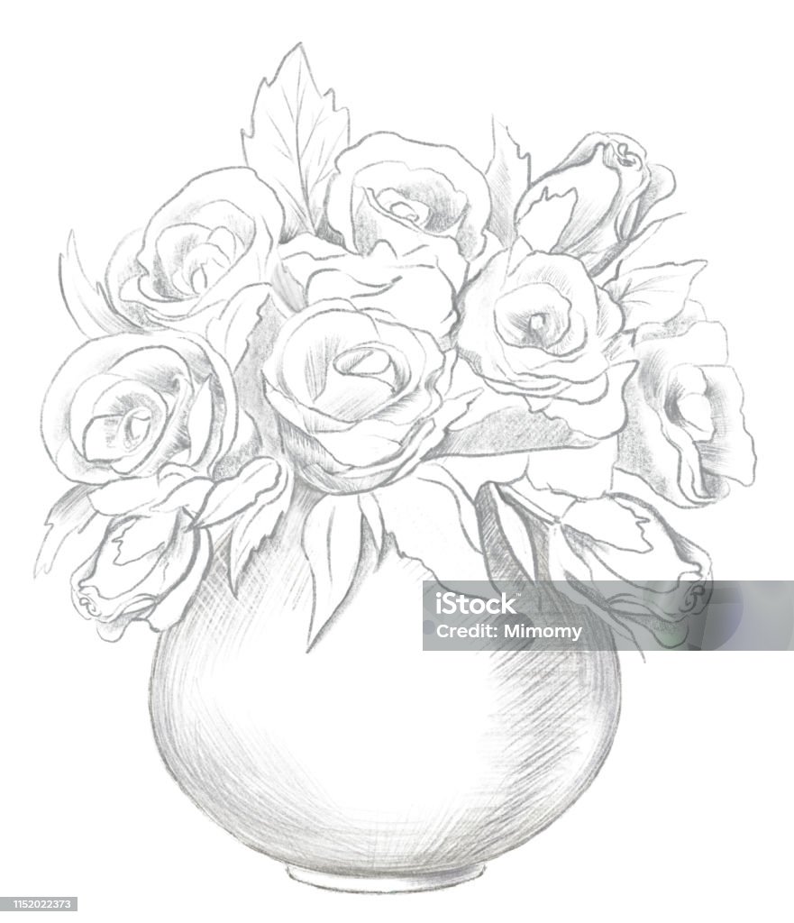 Lead Pencil Sketch Of Vase With Flowers Stock Illustration ...