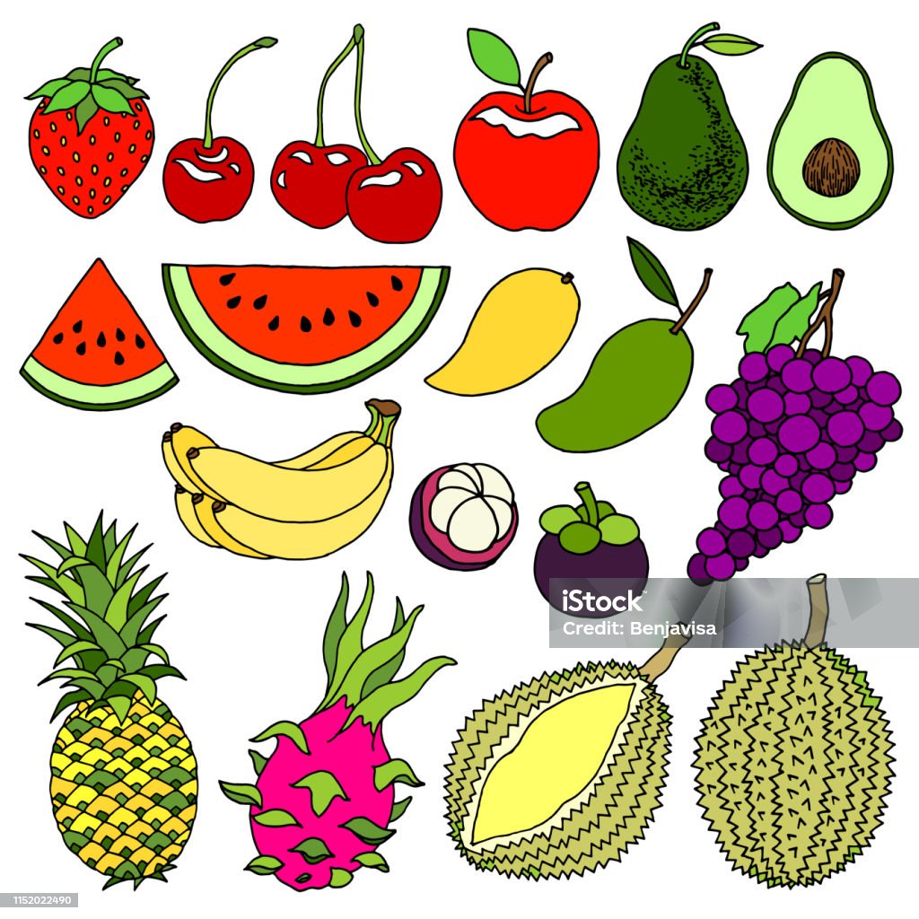Ilustración de Conjunto De Clima Frío Y Frutas Tropicales Dulce Deliciosa  Ilustración Vectorial Diseño Arte Dibujo A Mano y más Vectores Libres de  Derechos de Aguacate - iStock