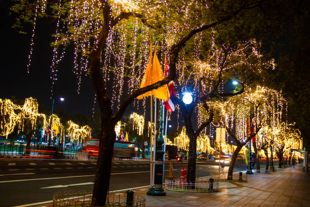 istock Decorative outdoor string lights hanging on tree in the garden 1152022674