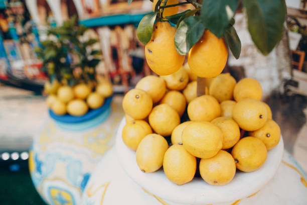 istock Lemon tree and lemons in a pot 1152024887