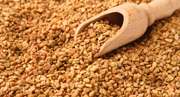 istock Brown aromatic fenugreek seeds isolated on white background 1152026124