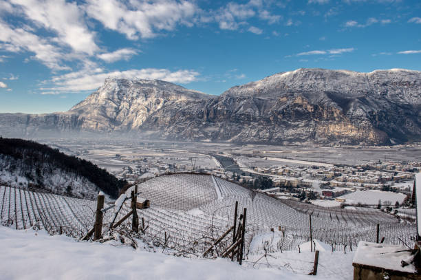 istock Trentino and Dolomites 1152027186