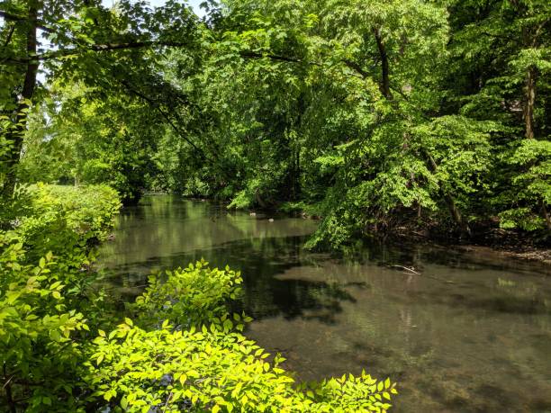 istock View from Wood Bridge on the Bronx River in Spring 1152028276