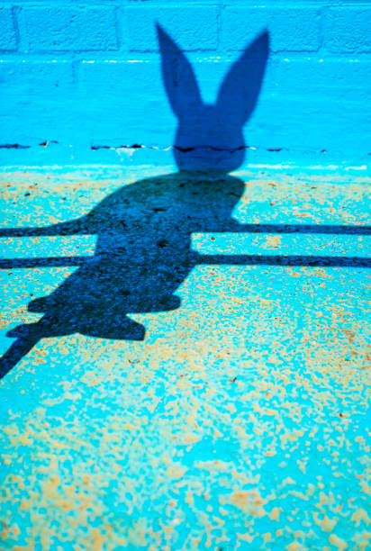 istock Shadow of easter bunny with large ears in springtime 1152029448