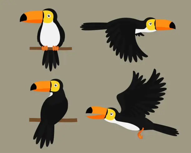 Vector illustration of Set of Toucans bird character cartoon - Vector illustration